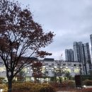 청라국제도서관 이미지