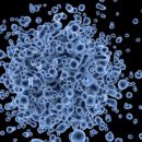 덴탈맑음기공소 이미지