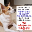 백정 - 남동구 백범로227번길 83 | 백정