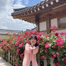 막걸리소맥1번지 | 2023년 이담의 이모저모.zip