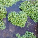 토가식당 이미지