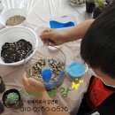 마음치유 생화 플로리스트 이미지