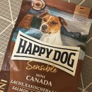 해피독(happy dog) 이미지