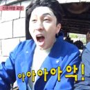 롤러코스트