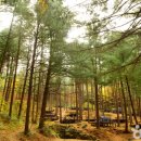 종로-현장-종로-세-105 이미지