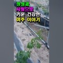 덕재농장 이미지