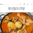 사리