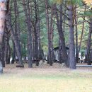 진부(오대산)관광농원 이미지