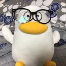 오둥이네 강아지 미용실 이미지