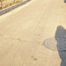 금란동물병원 이미지