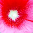 진산종로약국 이미지