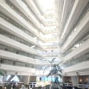 호텔리얼 이미지