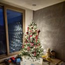 180 | 아기 있는 집 크리스마스트리 루시아이 평생트리 180 내돈내산 솔직후기 장점 단점