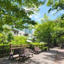 중간자(안양) | 안양가볼만한곳 안양예술공원 파빌리온, 전망대, 박물관