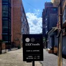 엑스투웰브(EXX twelv)