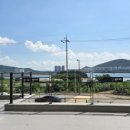 바닷가 하얀목화밭 이미지