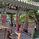 도화버스공용터미널 이미지