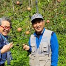 자연 제1농장 이미지