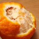 봉도농장 이미지