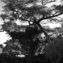 일과2리 이미지