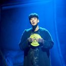 개와고양이 이미지