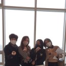 레젤플로우