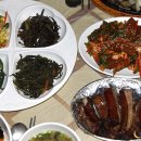 초가정담 티스토리