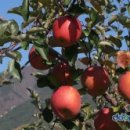 푸드하우스 이미지