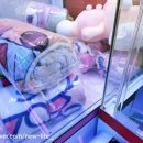 스미스인형뽑기 이미지