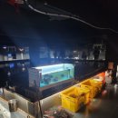 J&D 실내바다낚시터 이미지