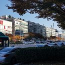 가로수부동산공인중개사사무소 이미지