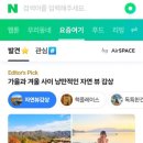 위드 앤 비즈