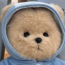 탈조 보고 커여운 곰인형 매입한 날