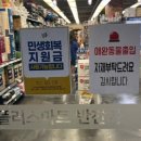 주식회사 세종플러스 네이버블로그