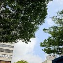 엄재화내과의원 이미지