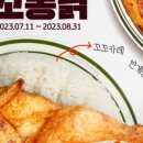 아비꼬충북