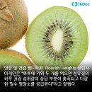 키위