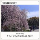 상암 | 천안 겹벚꽃 명소 각원사 4월 3주차 방문 후기 | 만개 시기 + 주차 현실 정리
