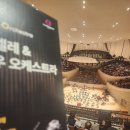 다비드 해운대점 | 25.11.9 부산콘서트홀 로열 콘세르트헤바우 오케스트라 with 로자코비치 후기1.