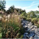 남산추어탕 이미지