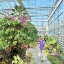 성호공원앞(17186) | 서울근교 꽃구경 가볼만한곳 드라이브 코스 안산식물원 공원