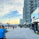 대국상회 이미지