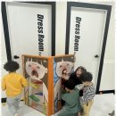 푸른 경희대 태권도장 이미지