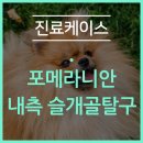 철원동물병원 이미지