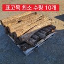 보성벌목