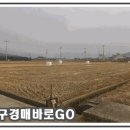 조전2리마을회관 이미지