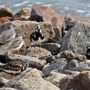 방파제파크 이미지