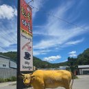 단양갈비백반 | 만천하스카이워크맛집 단양한우마을