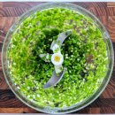 다짐 | 임성근 고추 다짐 레시피 후기, 도망간 입맛을 잡아드립니다