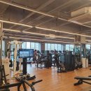 히트헬스클럽 이미지